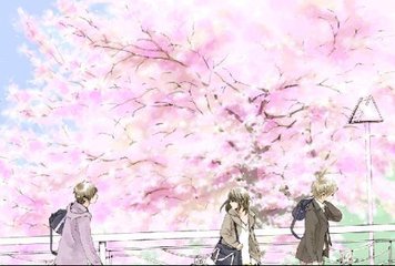 深入了解 S8sp伊甸园